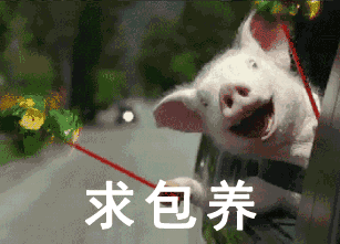 看完笑成死狗,重庆妈老汉的9大催婚手段太扎心了!