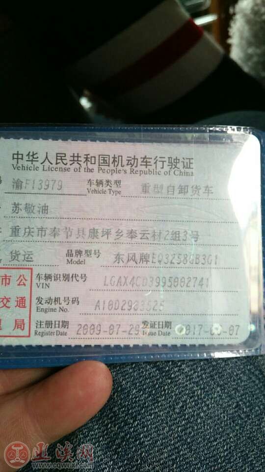 本车转让.精品马儿